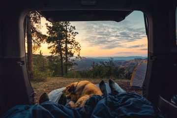 Viajar en autocaravana con perro: lo que nadie te cuenta
